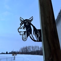 Image 2 of Horse - Funny