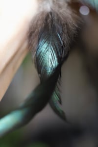 Image 4 of Suncatcher - Corno di capriolo e Granato