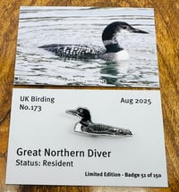 Image 1 of Great Northern Diver - No.173 - UK Birding Pins