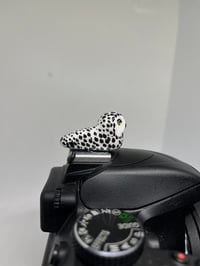 Image 4 of Snowy Owl Hotshoe Cover