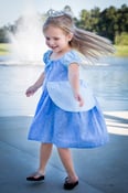 Image of Cinderella Inspired Princess Dress