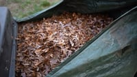 Image 5 of Taryl’s Leaf Vac Kit! 