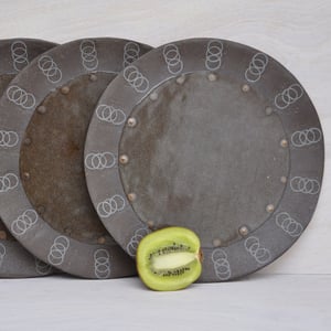 Image of riveted spring plates