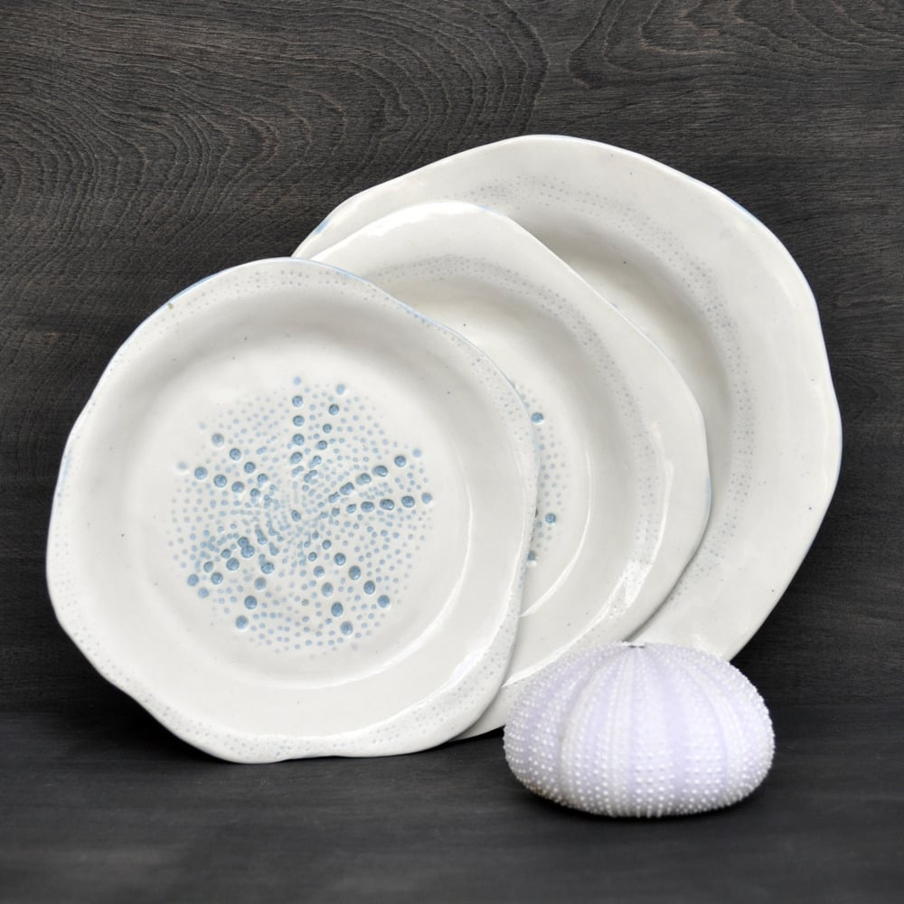 Image of sea urchin nesting plates #1