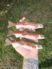 Image 1 of Pre order Rainbow Trout 2.0