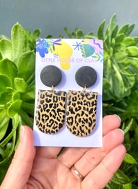 HAVANA LEOPARDS