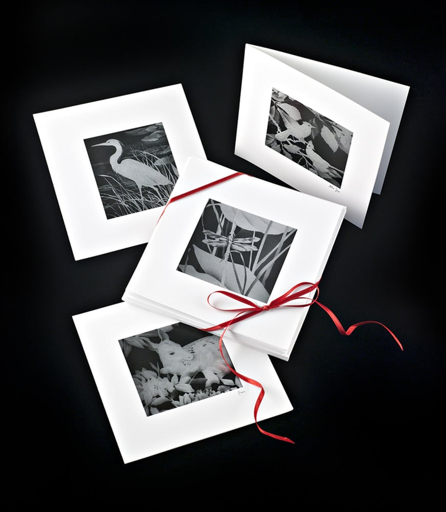 Image of Set of 12 Black and White Note Cards