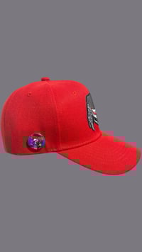 Image 2 of The Predator cap W/ predator button pin 