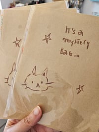 Image 4 of Cats Mystery bags