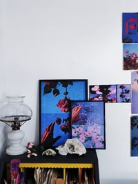 Image 3 of SPRING NIGHT IV