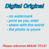 Image of Digital Photo File