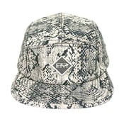 Image of Python 5-Panel