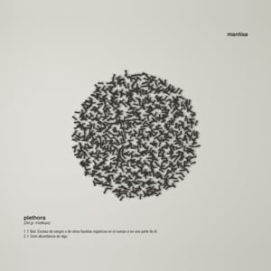 Image of Plethora (2013)