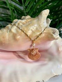 Image 1 of Scallop Shell Necklace N201