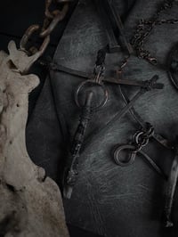 Image 4 of Battleaxe vi 