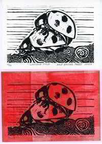 Image 2 of Ladybug Style