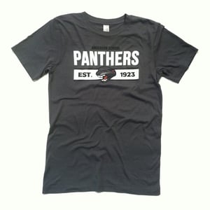 Image of Anderson School Panthers Dark Grey T-Shirt