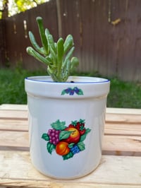 Image 4 of Juicy Gollum Jade In Vintage Fruit Ceramic 