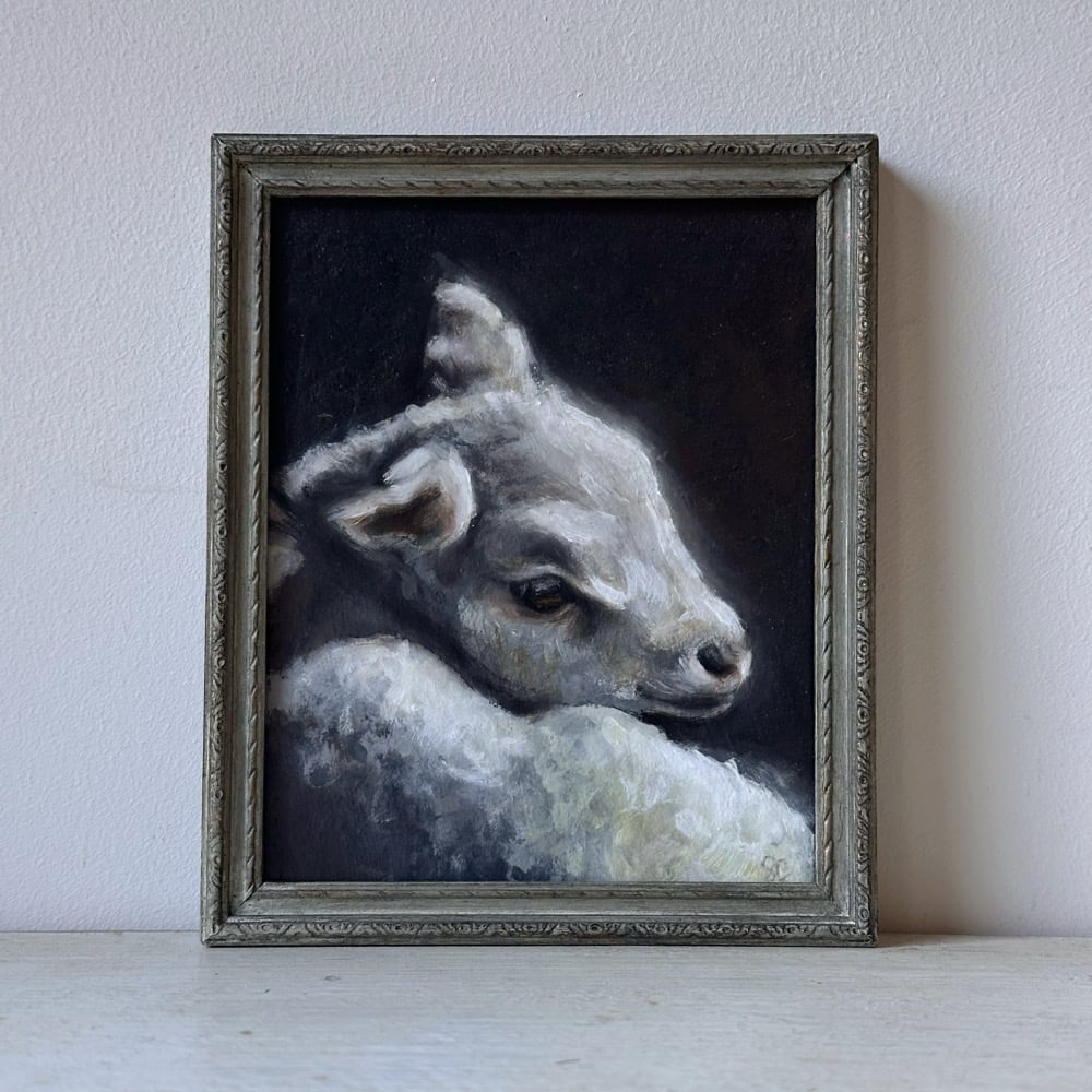 Image of lamb 