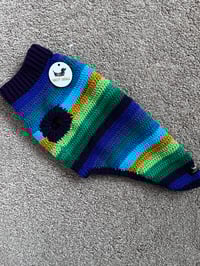 Image 2 of Snazzy Peacock in Stock