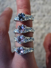 Image 7 of Stella - Ring
