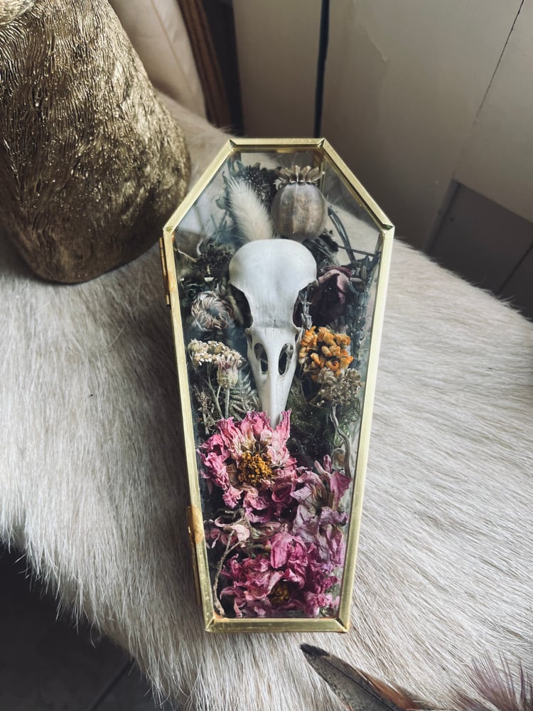 Image of Floral Crow Skull Casket Curiosity 