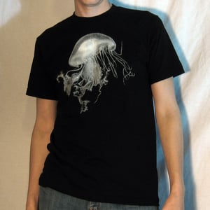 Image of Jellyfish