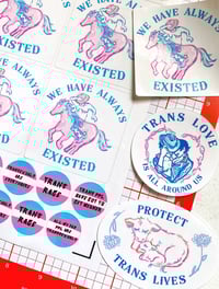 Image 2 of trans stickers