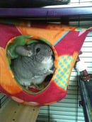 Image 1 of Hanging Cuddle-Cottage™