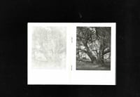 Image 3 of Holy spring by Fraser Carr Miles 