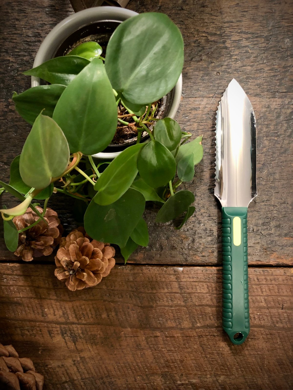Mini Hori Hori | Stainless Steel Japanese Hori Hori Hand Tool