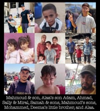 Image 4 of Palestinian Coin Display