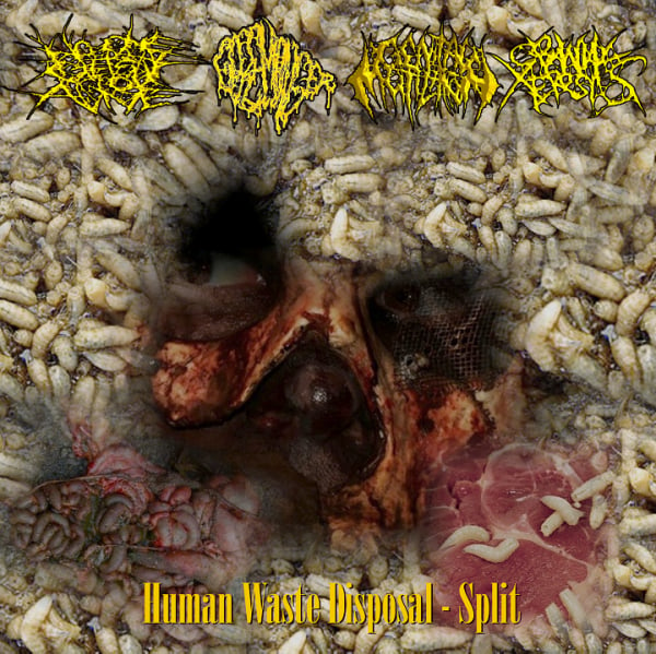 Image of Human Waste Disposal Split CD 2010