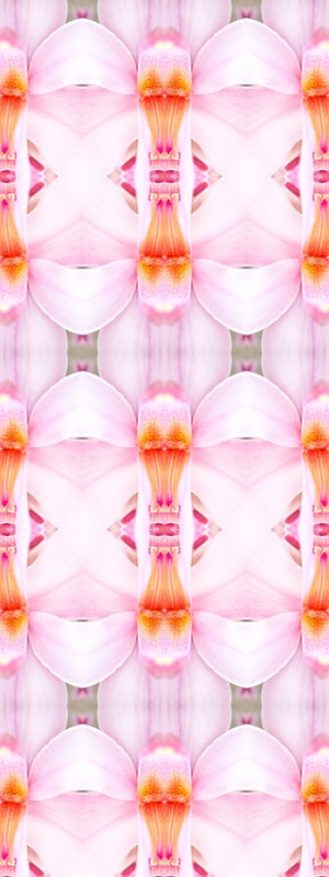 Florescence