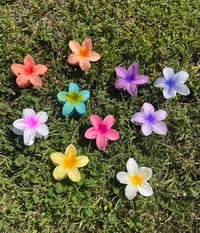 Image 3 of Aloha Hair Clips