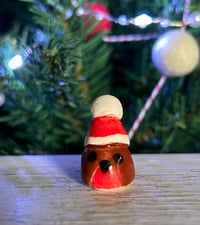 Image 12 of Mini Robins