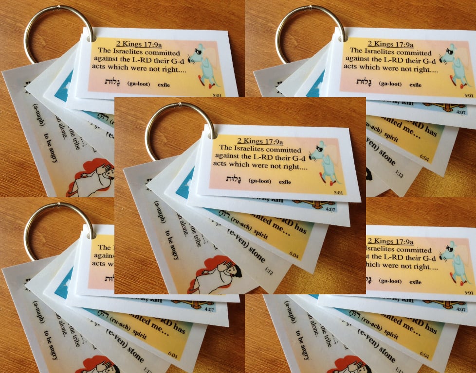 Image of 5 Sets of Verse Memorization Cards & Rings (cards are shipped uncut)