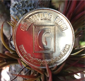 Image of Gratitude Coin