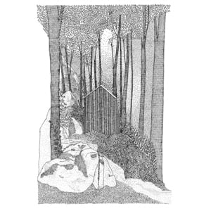 Image of In the Dark