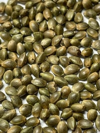  Sour Oreoz (Boogie Down Bronx x Oreoz Créme) 