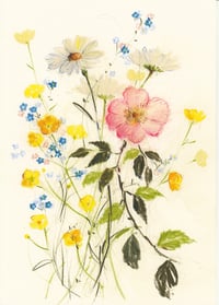 May notes I