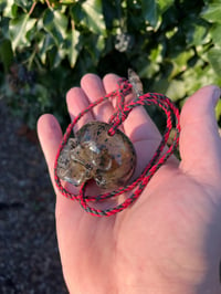 Image 3 of Large Amber skull