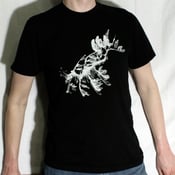 Image of Leafy Sea Dragon