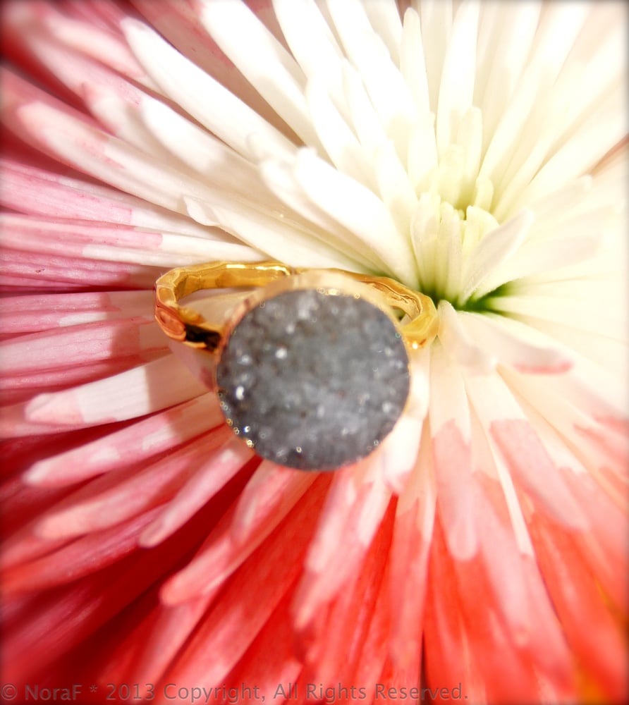 Image of Jasper Quarz Coin Druzy 12mm Gold