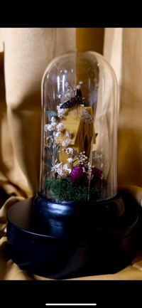 Image 4 of Sleep Cicada