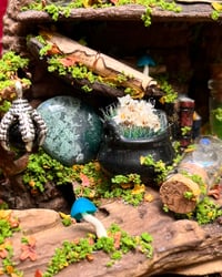 Image 4 of Medium Driftwood Piece 4