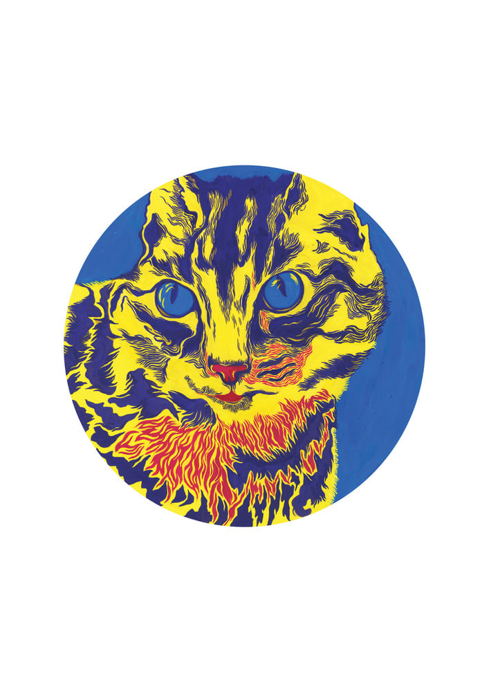 Image of Trippy cat