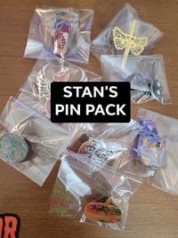 Stan's Bulk Pin Set