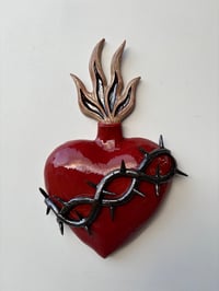 Crown of thorns - XL