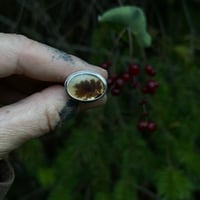 Image 1 of Dendrite Agate Bloom Ring~8